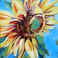 another-sunflower.jpg