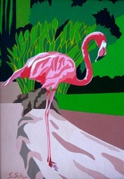 Bahama Flamingo