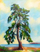 A Tree with a View - SOLD