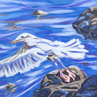 The Take Off